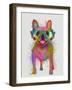 Rainbow Splash French Bulldog, Full-Fab Funky-Framed Art Print