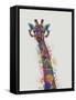 Rainbow Splash Giraffe 1-Fab Funky-Framed Stretched Canvas