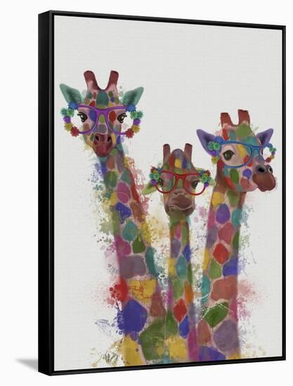 Rainbow Splash Giraffe Trio-Fab Funky-Framed Stretched Canvas