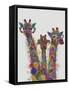 Rainbow Splash Giraffe Trio-Fab Funky-Framed Stretched Canvas