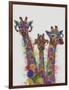 Rainbow Splash Giraffe Trio-Fab Funky-Framed Art Print