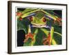 Rainbow Splendor-Barbara Keith-Framed Giclee Print