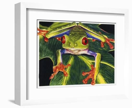 Rainbow Splendor-Barbara Keith-Framed Giclee Print