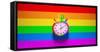 Rainbow Sports Stopwatch Gay Pride Time Clock Timer Equality Rainbow Inclusive Flag Background LGB-Paul Campbell-Framed Stretched Canvas