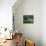 Rainbow, Stormy Sky and Clothes Line, Bunmahon, County Waterford, Ireland-null-Stretched Canvas displayed on a wall