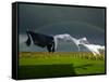 Rainbow, Stormy Sky and Clothes Line, Bunmahon, County Waterford, Ireland-null-Framed Stretched Canvas