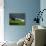 Rainbow, Stormy Sky and Clothes Line, Bunmahon, County Waterford, Ireland-null-Photographic Print displayed on a wall