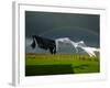 Rainbow, Stormy Sky and Clothes Line, Bunmahon, County Waterford, Ireland-null-Framed Photographic Print