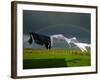 Rainbow, Stormy Sky and Clothes Line, Bunmahon, County Waterford, Ireland-null-Framed Photographic Print