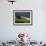 Rainbow, Stormy Sky and Clothes Line, Bunmahon, County Waterford, Ireland-null-Framed Photographic Print displayed on a wall