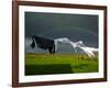 Rainbow, Stormy Sky and Clothes Line, Bunmahon, County Waterford, Ireland-null-Framed Photographic Print