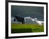 Rainbow, Stormy Sky and Clothes Line, Bunmahon, County Waterford, Ireland-null-Framed Photographic Print