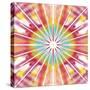 Rainbow Sunbursts-Deanna Tolliver-Stretched Canvas