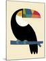 Rainbow Toucan-Andy Westface-Mounted Giclee Print