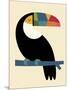 Rainbow Toucan-Andy Westface-Mounted Giclee Print