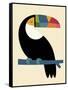 Rainbow Toucan-Andy Westface-Framed Stretched Canvas