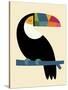 Rainbow Toucan-Andy Westface-Stretched Canvas