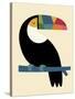 Rainbow Toucan-Andy Westface-Stretched Canvas