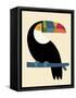 Rainbow Toucan-Andy Westface-Framed Stretched Canvas