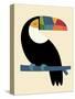 Rainbow Toucan-Andy Westface-Stretched Canvas