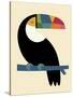 Rainbow Toucan-Andy Westface-Stretched Canvas