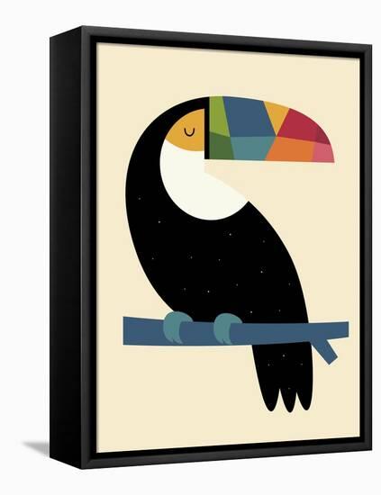 Rainbow Toucan-Andy Westface-Framed Stretched Canvas