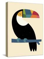 Rainbow Toucan-Andy Westface-Stretched Canvas