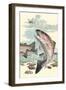 Rainbow Trout Eying Dragonfly-null-Framed Premium Giclee Print