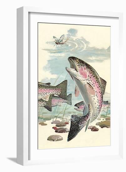 Rainbow Trout Eying Dragonfly-null-Framed Premium Giclee Print