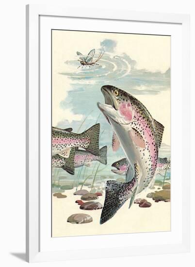 Rainbow Trout Eying Dragonfly-null-Framed Art Print