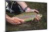 Rainbow Trout, Fly fisherman, Lower Deschutes River, Central Oregon, USA-Stuart Westmorland-Mounted Photographic Print