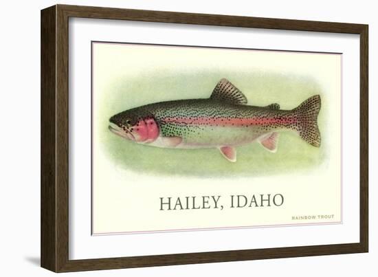 Rainbow Trout, Hailey-null-Framed Art Print