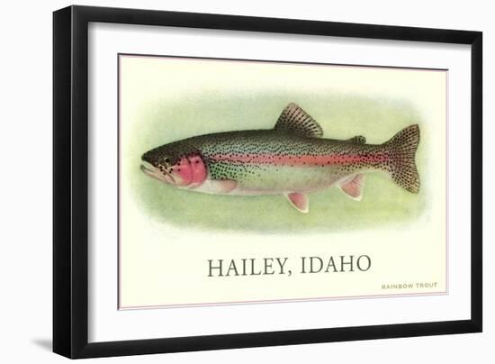 Rainbow Trout, Hailey-null-Framed Art Print