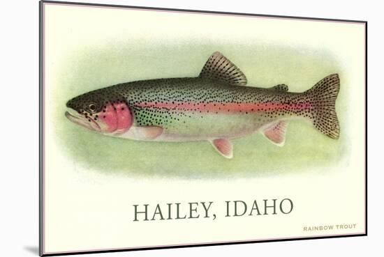 Rainbow Trout, Hailey-null-Mounted Art Print