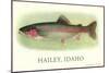 Rainbow Trout, Hailey-null-Mounted Art Print