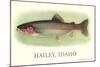 Rainbow Trout, Hailey-null-Mounted Art Print