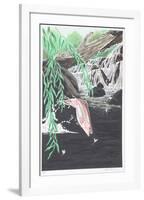 Rainbow Trout-Allen Friedman-Framed Collectable Print