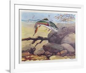 Rainbow Trout-Bill Elliot-Framed Collectable Print