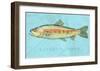 Rainbow Trout-John Golden-Framed Art Print