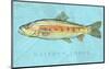 Rainbow Trout-John W^ Golden-Mounted Art Print