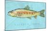 Rainbow Trout-John W^ Golden-Mounted Art Print