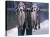 Rainbow Trout-null-Stretched Canvas