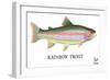 Rainbow Trout-Mark Frost-Framed Giclee Print