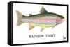 Rainbow Trout-Mark Frost-Framed Stretched Canvas