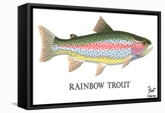 Rainbow Trout-Mark Frost-Framed Stretched Canvas