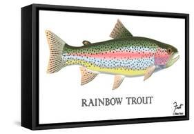 Rainbow Trout-Mark Frost-Framed Stretched Canvas