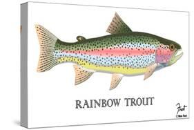 Rainbow Trout-Mark Frost-Stretched Canvas