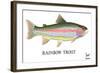 Rainbow Trout-Mark Frost-Framed Giclee Print