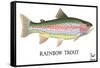 Rainbow Trout-Mark Frost-Framed Stretched Canvas