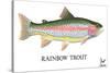 Rainbow Trout-Mark Frost-Stretched Canvas